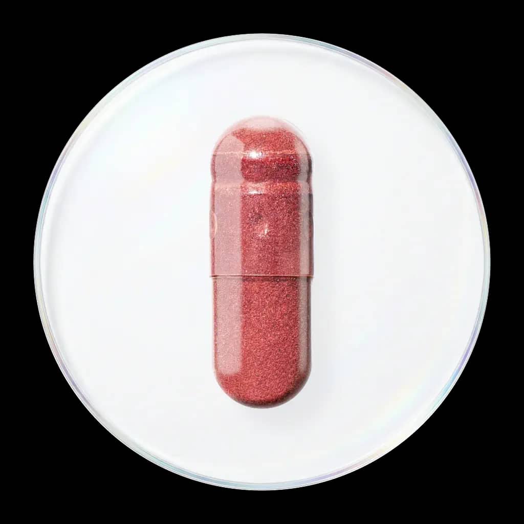 葡萄籽提取物